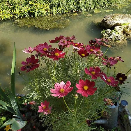 Le Moulin Et L'Olivier Three Bedroom SuiteChambon-sur-Cisse エクステリア 写真