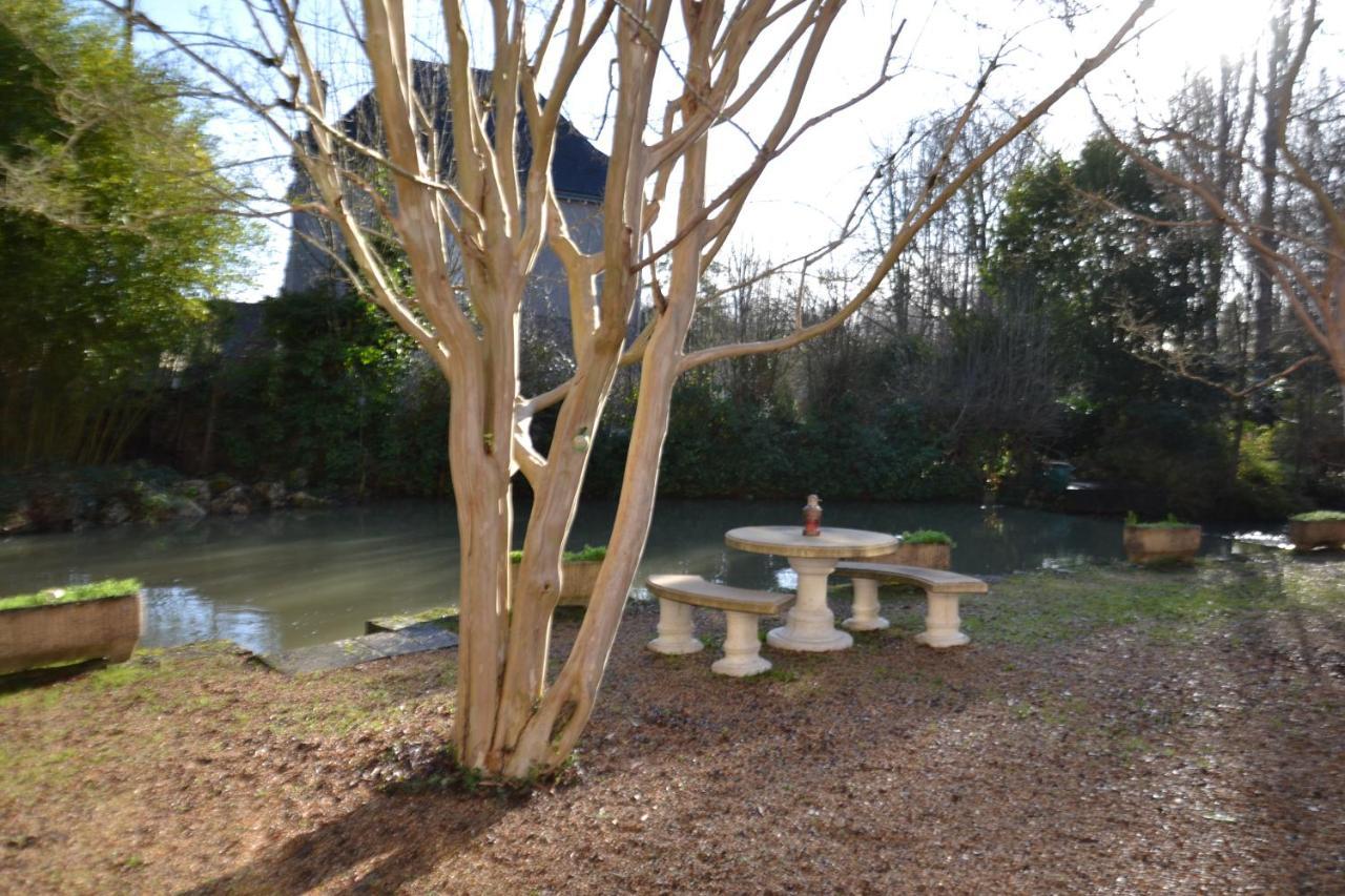 Le Moulin Et L'Olivier Three Bedroom SuiteChambon-sur-Cisse エクステリア 写真
