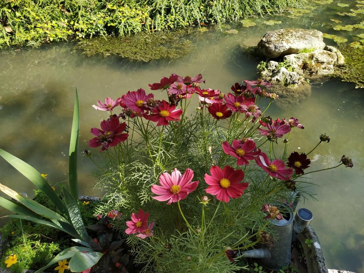 Le Moulin Et L'Olivier Three Bedroom SuiteChambon-sur-Cisse エクステリア 写真